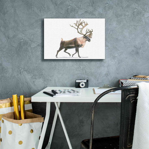 Image of 'Northern Wild IV' by James Wiens, Canvas Wall Art,18 x 12