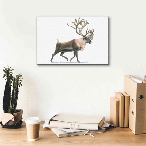 Image of 'Northern Wild IV' by James Wiens, Canvas Wall Art,18 x 12