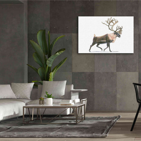 Image of 'Northern Wild IV' by James Wiens, Canvas Wall Art,60 x 40