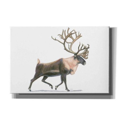 Image of 'Northern Wild IV' by James Wiens, Canvas Wall Art,18x12x1.1x0,26x18x1.1x0,40x26x1.74x0,60x40x1.74x0