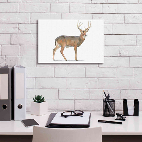 Image of 'Northern Wild V' by James Wiens, Canvas Wall Art,18 x 12