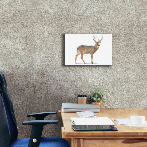 Image of 'Northern Wild V' by James Wiens, Canvas Wall Art,18 x 12