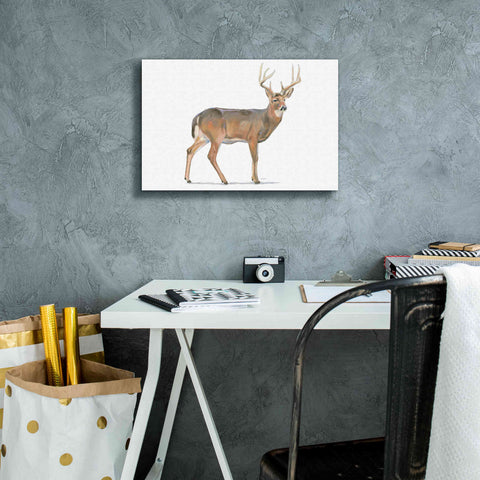 Image of 'Northern Wild V' by James Wiens, Canvas Wall Art,18 x 12