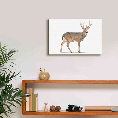 Image of 'Northern Wild V' by James Wiens, Canvas Wall Art,18 x 12