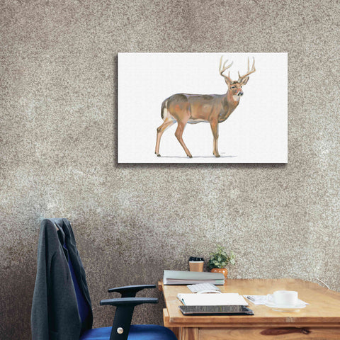 Image of 'Northern Wild V' by James Wiens, Canvas Wall Art,40 x 26