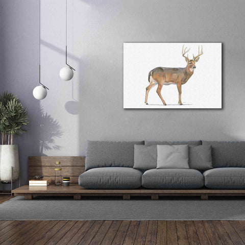Image of 'Northern Wild V' by James Wiens, Canvas Wall Art,60 x 40