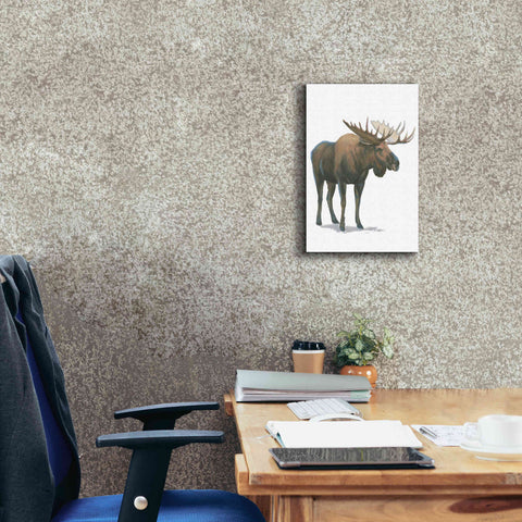 Image of 'Northern Wild VI' by James Wiens, Canvas Wall Art,12 x 18