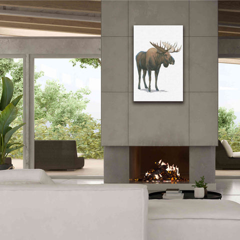 Image of 'Northern Wild VI' by James Wiens, Canvas Wall Art,26 x 40