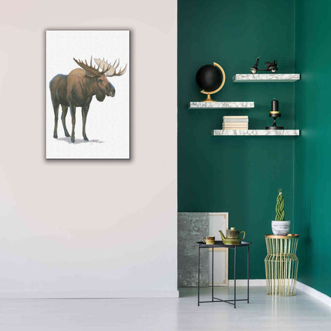 Image of 'Northern Wild VI' by James Wiens, Canvas Wall Art,26 x 40