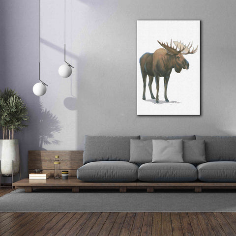 Image of 'Northern Wild VI' by James Wiens, Canvas Wall Art,40 x 60