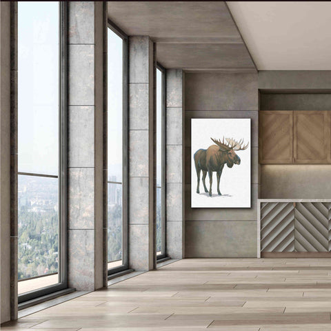 Image of 'Northern Wild VI' by James Wiens, Canvas Wall Art,40 x 60