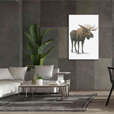 Image of 'Northern Wild VI' by James Wiens, Canvas Wall Art,40 x 60