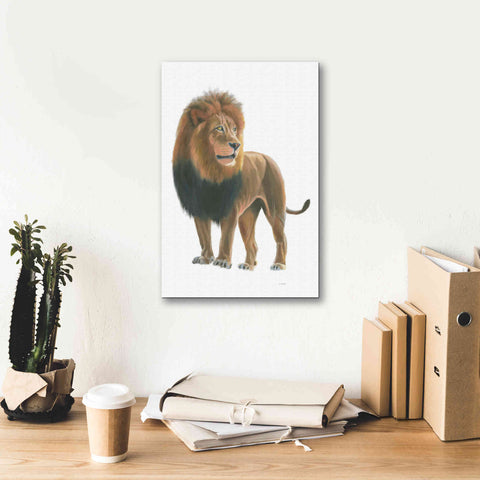 Image of 'Wild and Free I' by James Wiens, Canvas Wall Art,12 x 18