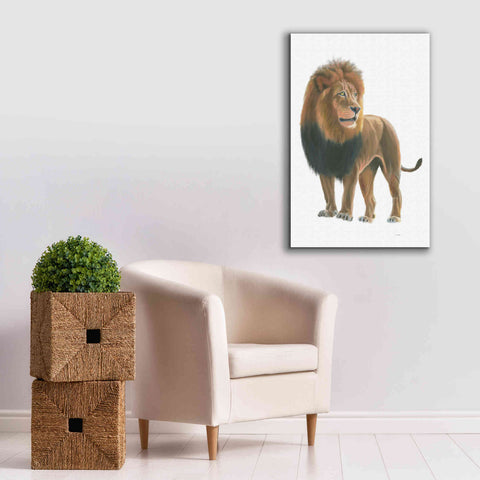 Image of 'Wild and Free I' by James Wiens, Canvas Wall Art,26 x 40