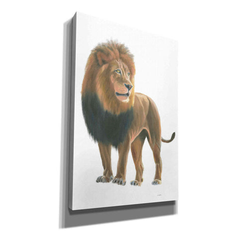 Image of 'Wild and Free I' by James Wiens, Canvas Wall Art,12x18x1.1x0,18x26x1.1x0,26x40x1.74x0,40x60x1.74x0