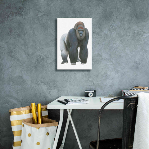 Image of 'Wild and Free II' by James Wiens, Canvas Wall Art,12 x 18