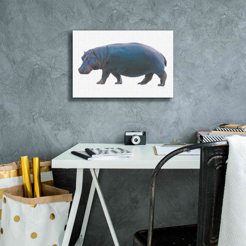 Image of 'Wild and Free IV' by James Wiens, Canvas Wall Art,18 x 12