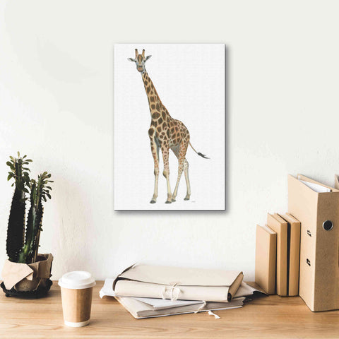 Image of 'Wild and Free V' by James Wiens, Canvas Wall Art,12 x 18