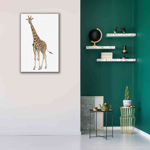 Image of 'Wild and Free V' by James Wiens, Canvas Wall Art,26 x 40