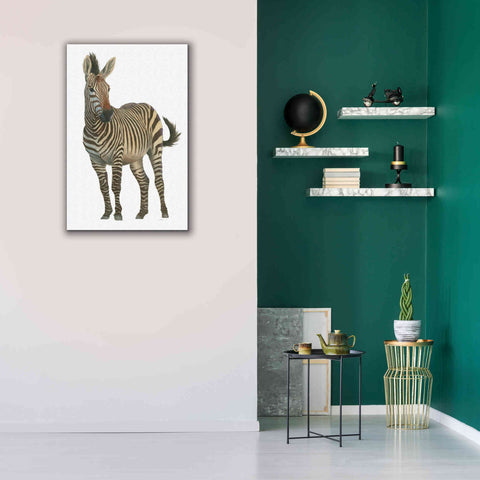 Image of 'Wild and Free VI' by James Wiens, Canvas Wall Art,26 x 40