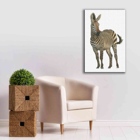 Image of 'Wild and Free VI' by James Wiens, Canvas Wall Art,26 x 40