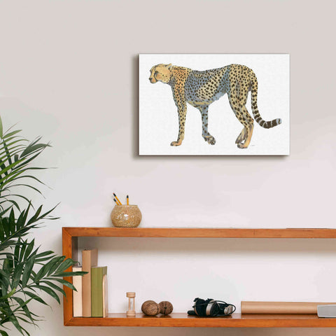 Image of 'Wild and Free VII' by James Wiens, Canvas Wall Art,18 x 12