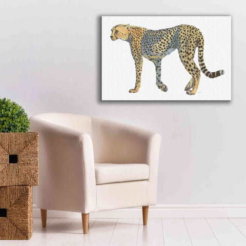 Image of 'Wild and Free VII' by James Wiens, Canvas Wall Art,40 x 26