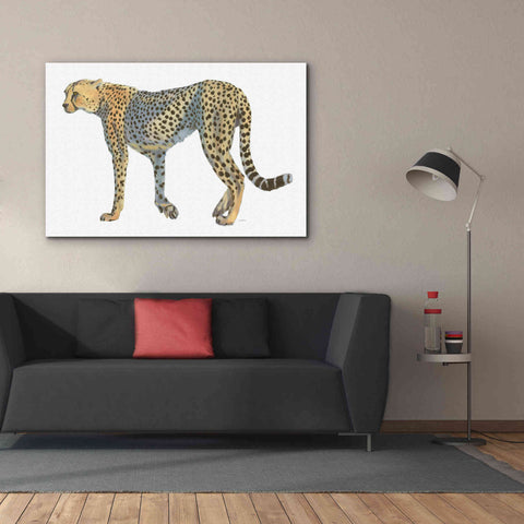 Image of 'Wild and Free VII' by James Wiens, Canvas Wall Art,60 x 40