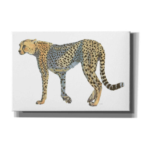 Image of 'Wild and Free VII' by James Wiens, Canvas Wall Art,18x12x1.1x0,26x18x1.1x0,40x26x1.74x0,60x40x1.74x0