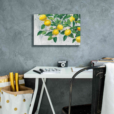 Image of 'Zesty Lemons' by James Wiens, Canvas Wall Art,18 x 12