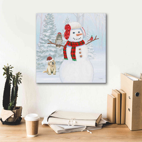 Image of 'Dressed for Christmas II Crop' by James Wiens, Canvas Wall Art,18 x 18
