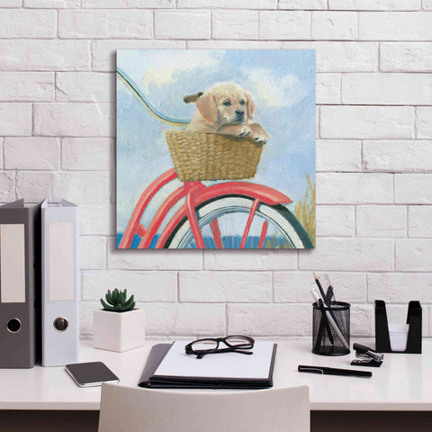 Image of 'Beach Ride V' by James Wiens, Canvas Wall Art,18 x 18