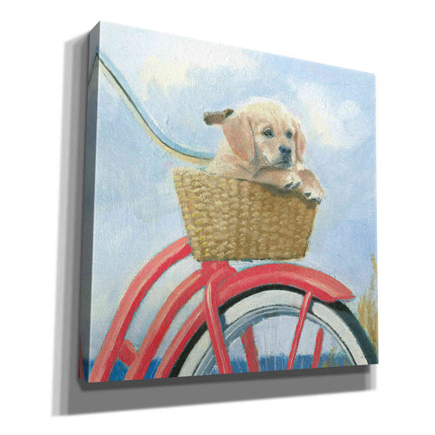 Image of 'Beach Ride V' by James Wiens, Canvas Wall Art,12x12x1.1x0,18x18x1.1x0,26x26x1.74x0,37x37x1.74x0