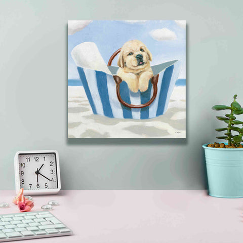 Image of 'Beach Ride VI' by James Wiens, Canvas Wall Art,12 x 12