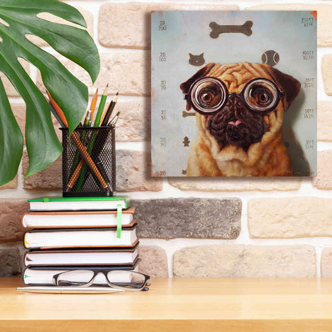 Image of 'Canine Eye Exam' by Lucia Heffernan, Canvas Wall Art,12x12
