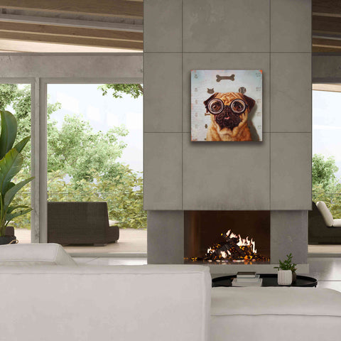 Image of 'Canine Eye Exam' by Lucia Heffernan, Canvas Wall Art,26x26