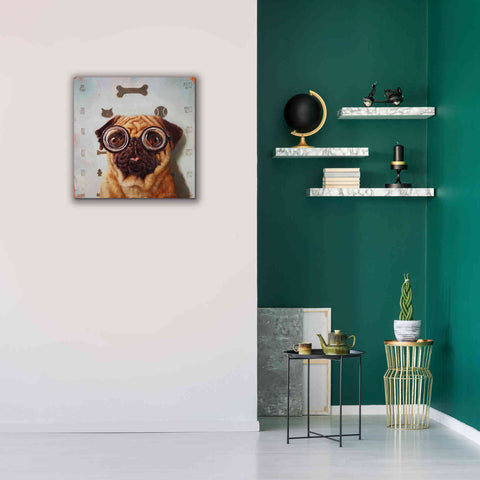 Image of 'Canine Eye Exam' by Lucia Heffernan, Canvas Wall Art,26x26
