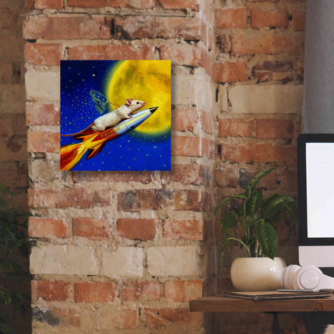 Image of 'Dream Catcher' by Lucia Heffernan, Canvas Wall Art,12x12