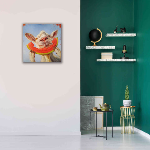 Image of 'Summer Treat' by Lucia Heffernan, Canvas Wall Art,26x26