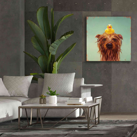 Image of 'Bath Time' by Lucia Heffernan, Canvas Wall Art,37x37