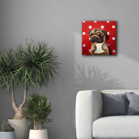 Image of 'Pugalicious' by Lucia Heffernan, Canvas Wall Art,18x18