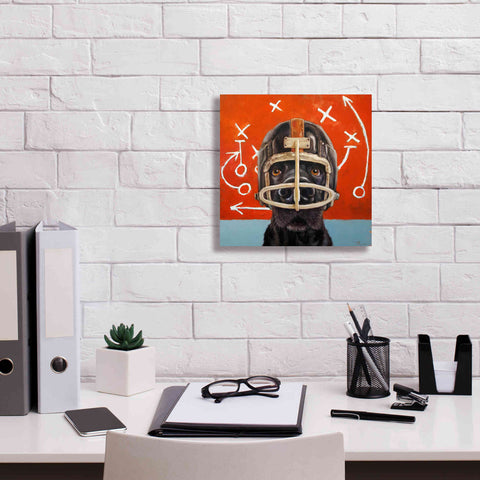 Image of 'Rookie' by Lucia Heffernan, Canvas Wall Art,12x12