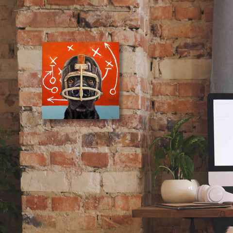 Image of 'Rookie' by Lucia Heffernan, Canvas Wall Art,12x12