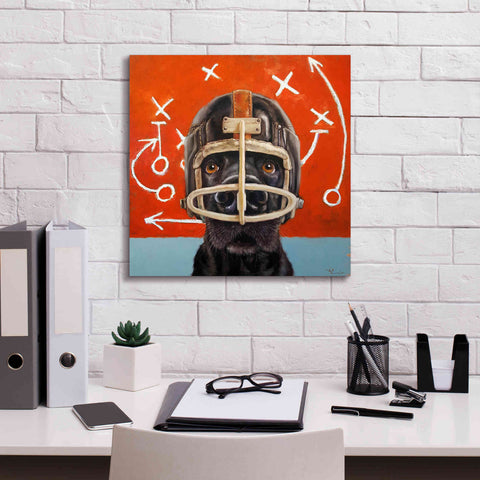 Image of 'Rookie' by Lucia Heffernan, Canvas Wall Art,18x18