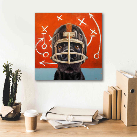 Image of 'Rookie' by Lucia Heffernan, Canvas Wall Art,18x18