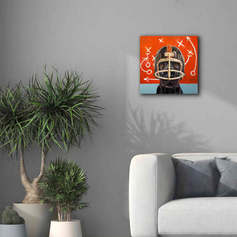 Image of 'Rookie' by Lucia Heffernan, Canvas Wall Art,18x18