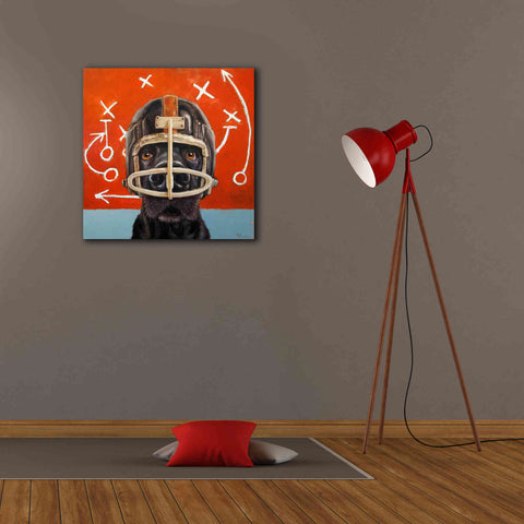 Image of 'Rookie' by Lucia Heffernan, Canvas Wall Art,26x26