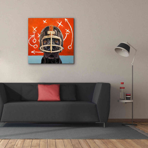 Image of 'Rookie' by Lucia Heffernan, Canvas Wall Art,37x37