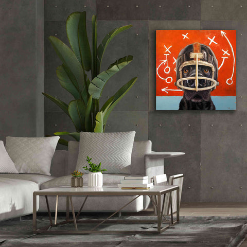 Image of 'Rookie' by Lucia Heffernan, Canvas Wall Art,37x37