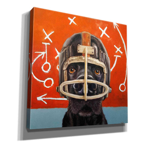 Image of 'Rookie' by Lucia Heffernan, Canvas Wall Art